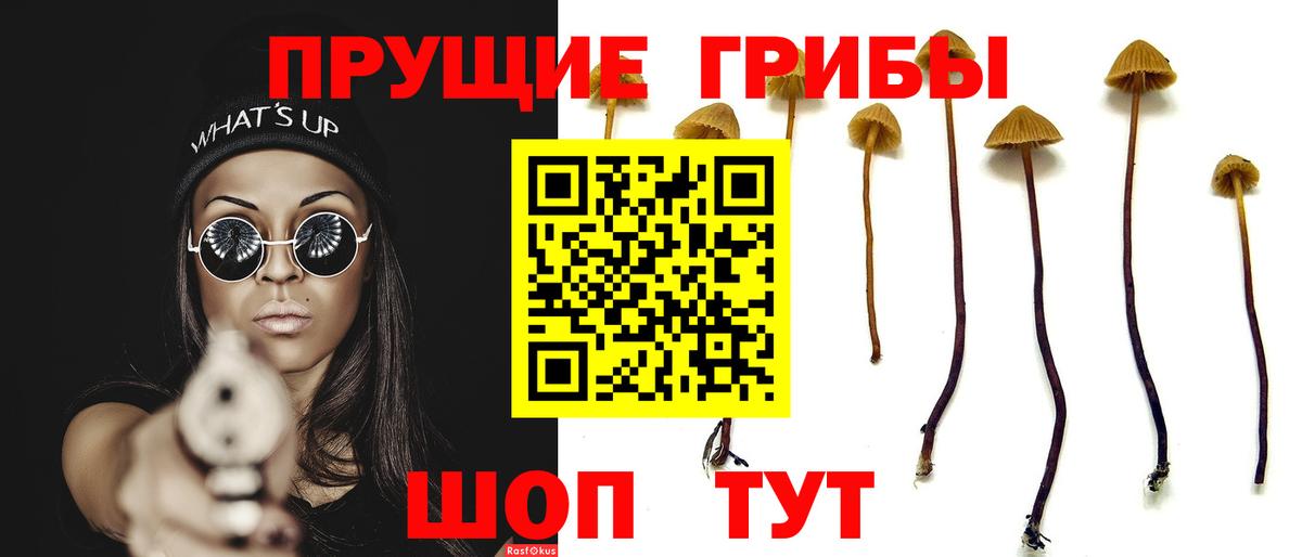 Новодвинск  Псилоцибиновые грибы ЛСД  Вход с VPN 